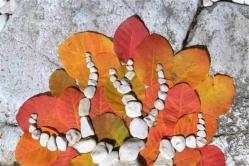 Sonbahar doğal malzemelerden sonbahar Budama Ağacı nasıl yapılır