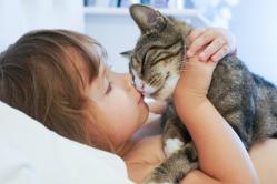 »बिल्लियों में आंतों में संक्रमण: प्रकार, लक्षण, उपचार
